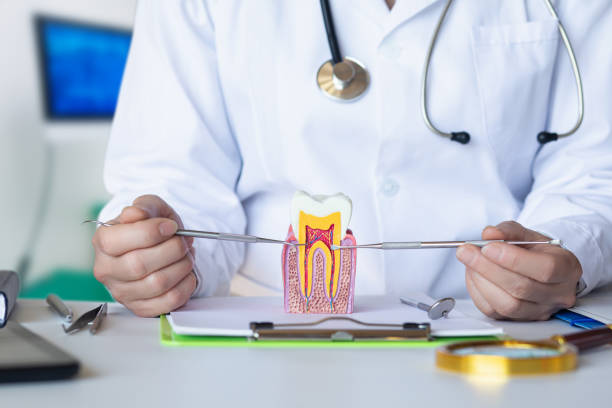 Best Emergency Gum Pain Relief  in Alamae, NC